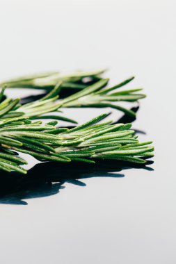 bohça dal biberiye karanlık ayna arka plan yakın çekim üzerinde