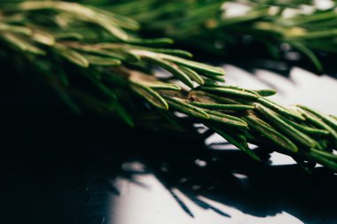 bohça dal biberiye karanlık ayna arka plan yakın çekim üzerinde