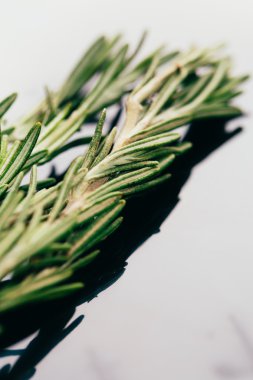 bohça dal biberiye karanlık ayna arka plan yakın çekim üzerinde