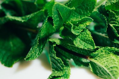 Beyaz arkaplanda taze nane yaprakları