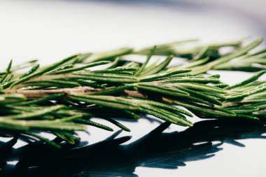 bohça dal biberiye karanlık ayna arka plan yakın çekim üzerinde