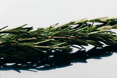 bohça dal biberiye karanlık ayna arka plan üzerinde