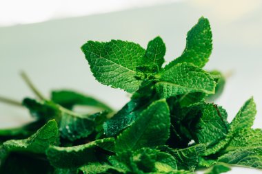 Beyaz arkaplanda taze nane yaprakları