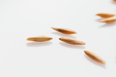 Beyaz bir arka plan üzerinde yulaf taneleri