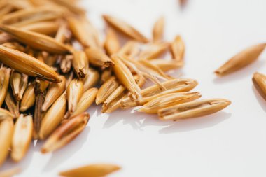 Beyaz bir arka plan üzerinde yulaf taneleri