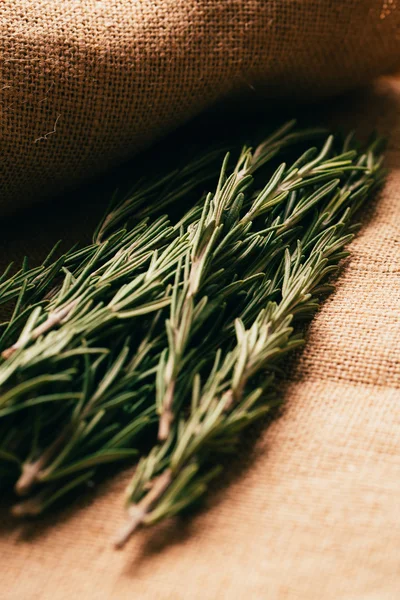 Bundle of sprigs rosemary on a light background sacking — Stock Photo, Image