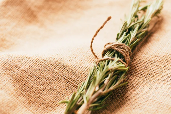 Bundle of sprigs rosemary tied with string on a light background sacking — Stock Photo, Image