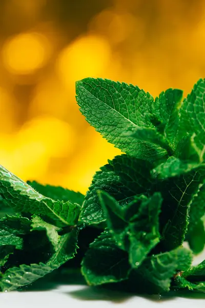 Feuilles de menthe fraîches sur fond blanc-jaune flou — Photo