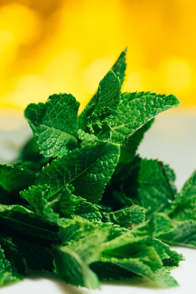 Fresh mint leaves on white-yellow blurred background — Stock Photo, Image