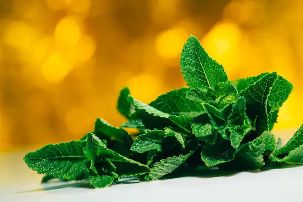 Feuilles de menthe fraîches sur fond blanc-jaune flou — Photo