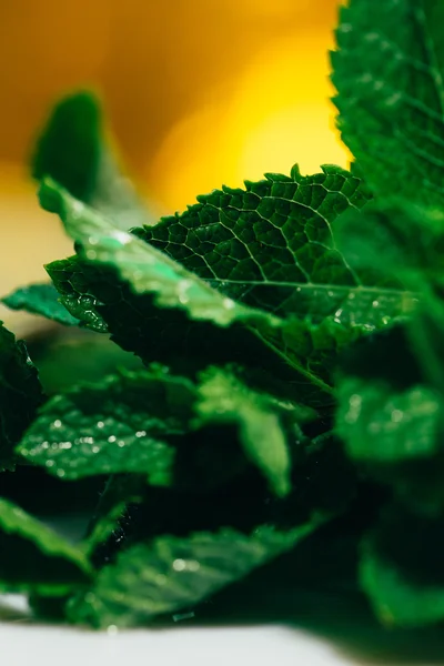 Fresh mint leaves on yellow blurred background — Stock Photo, Image
