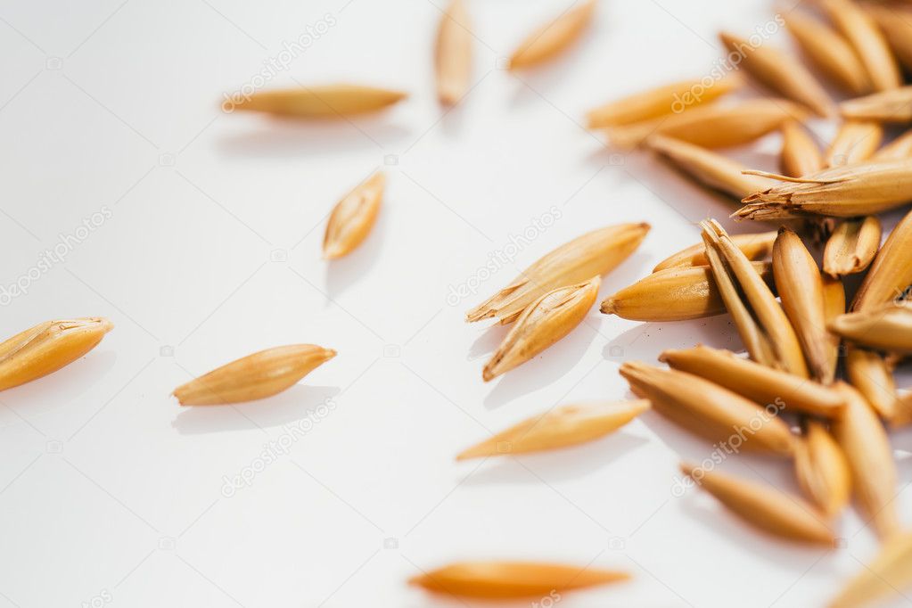 grains of oats on a white background