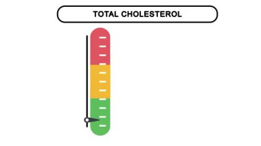 Animasyon toplam kolesterol aralığı bilgi grafiği videosu sağlıklı, sınırçizgide ve yüksek seviyelerde, tıbbi, sağlık ve eğitim içeriği için ideal