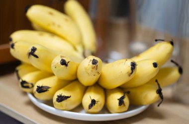 Küçük bir demet olgun, sarı muz, tahta bir yüzey üzerinde beyaz bir tabakta duruyor..