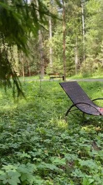 Güneşli bir yaz gününde, ormanın dinlenme yerinde sabun köpükleri rüzgârda savrulur. Yüksek kaliteli FullHD görüntüler