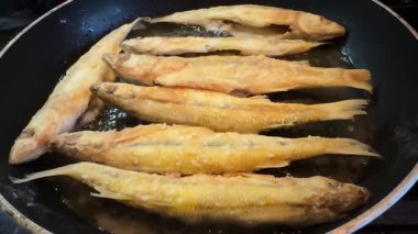 Kızartmanın en güzel manzarası. Kızartma tavasında açık ateşte balık kızartmak. Ev ocağında deniz ürünleri pişirmek için yakın çekim. Yüksek kaliteli FullHD görüntüler
