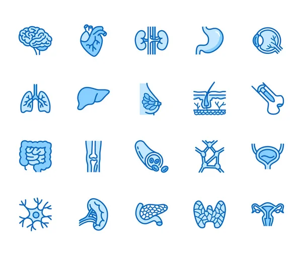 Órganos Conjunto Iconos Línea Plana Anatomía Huesos Humanos Estómago Cerebro — Archivo Imágenes Vectoriales