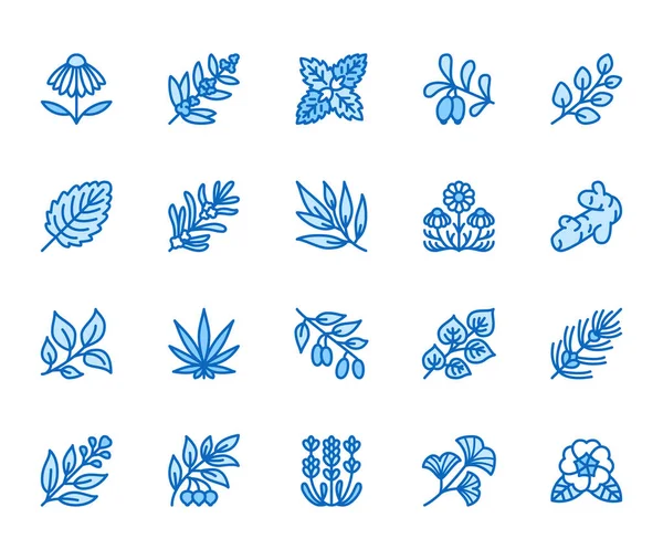 Hierbas Medicinales Iconos Línea Plana Plantas Medicinales Equinácea Melisa Eucalipto — Vector de stock