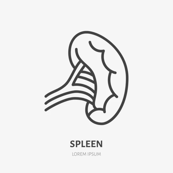 Spleen Line Icon Vector Pictogram Human Internal Organ Anatomy Illustration — Stock Vector