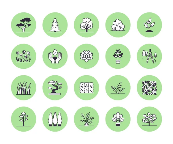 Árboles Línea Plana Iconos Conjunto Plantas Diseño Del Paisaje Abeto — Vector de stock