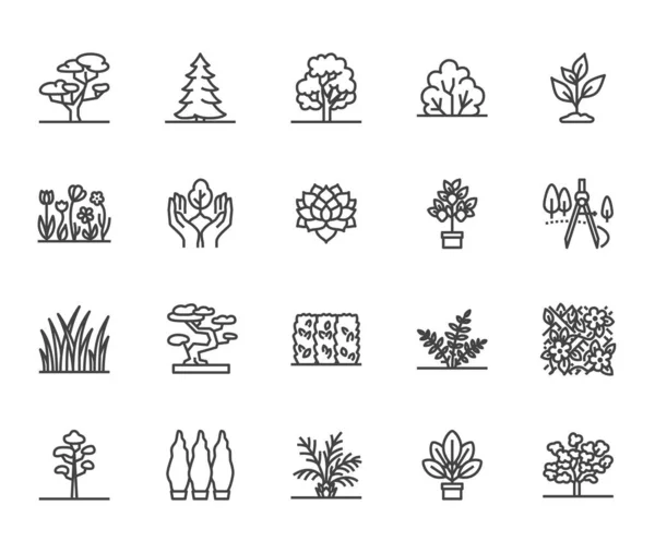 Bäume Flache Linie Symbole Gesetzt Pflanzen Landschaftsplanung Tanne Sukkulente Privatsphäre — Stockvektor