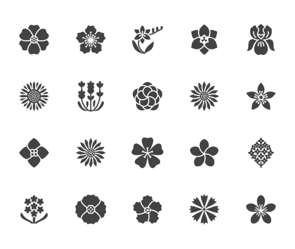 Blumen Flache Glyphen Symbole Schöne Gartenpflanzen Sonnenblume Mohn Kirschblüte Lavendel — Stockvektor