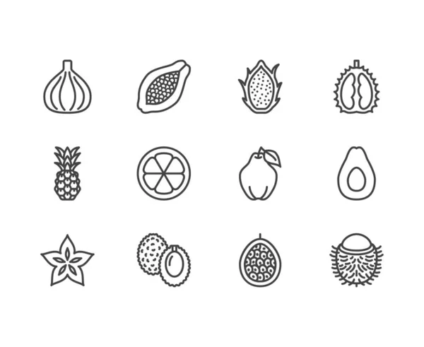 Εξωτικά Φρούτα Μούρα Επίπεδη Γραμμή Σύνολο Εικονίδιο Παπάγια Dragon Fruit — Διανυσματικό Αρχείο
