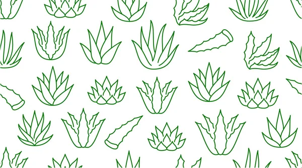 Aloe vera background, agave plant seamless pattern. Succulent wallpaper with line icons of aloevera leaves. Herbal medicine vector illustration green white color. — Stock Illustration Aloe Vera Background Agave Plant Seamless Pattern Succulent Wallpaper Line Royalty Free Stock Illustrations