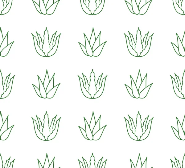 Aloe vera background, agave plant seamless pattern. Succulent wallpaper with line icons of aloevera leaves. Herbal medicine vector illustration green white color. — Stock Illustration Aloe Vera Background Agave Plant Seamless Pattern Succulent Wallpaper Line Vector Graphics
