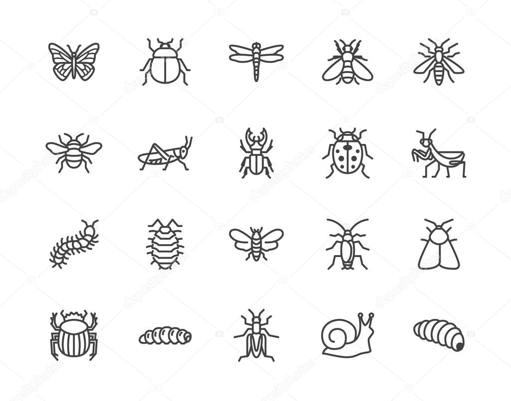 Pest control seamless pattern with flat line icons. Insects background - mosquito, spider, fly, cockroach, ant, termite vector illustrations for extermination service.