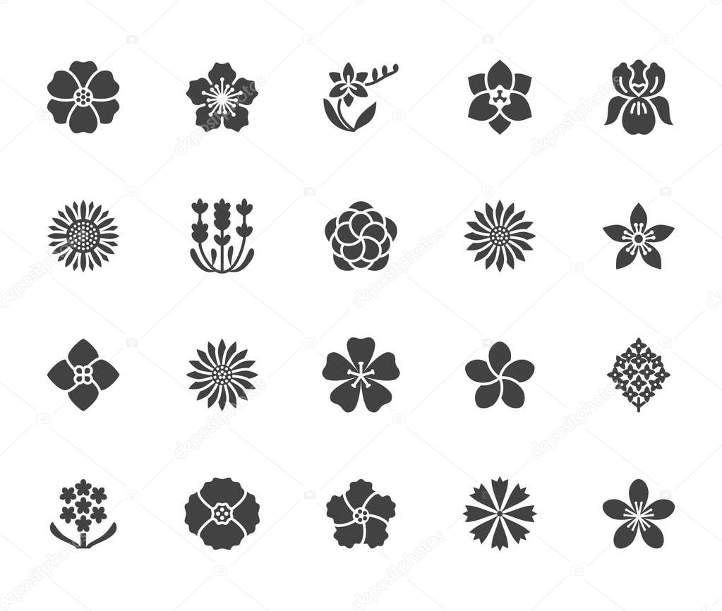 Flowers flat glyph icons. Beautiful garden plants - sunflower, poppy, cherry flower, lavender, gerbera, plumeria, hydrangea blossom. Signs for floral store. Solid silhouette pixel perfect 64x64.