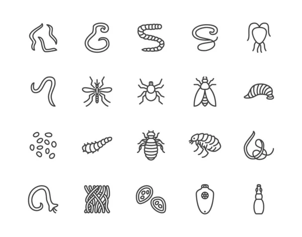 Parasites Flat Line Icons Set Intestinal Worm Helminth Sandfly Tick — Stock Vector