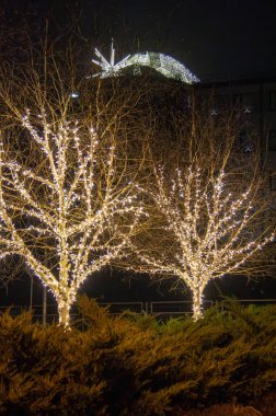 Gece şehrinde Noel ağaçları