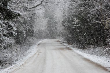 Kışın kar ormanlarında yol Ağaçlar ve karla kaplı