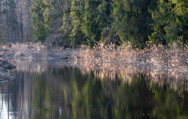 Doğanın güzel manzarası