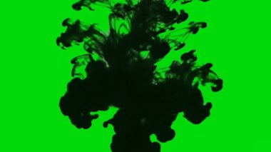 Siyah mürekkep suya dağılır ve yeşil zeminde soyut sıvı hareket yaratır. Akan organik şekiller ve duman benzeri mürekkep bulutları. Hareket grafikleri, video arkaplanları, örtüşmeler, görsel efektler ve yaratıcı tasarım kullanımı için ideal.