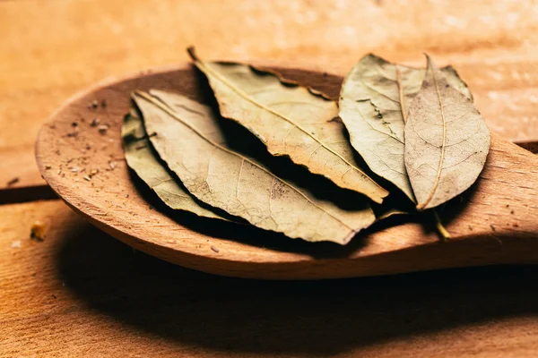Φύλλα δάφνης σε ένα ελαφρύ ξύλινο κουτάλι, κοντινό πλάνο — Φωτογραφία Αρχείου