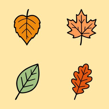 Turuncu, yeşil ve kahverengi dört farklı sonbahar yaprağının vektör çizimi, siyah hatlı minimalist mevsimlik yaprak çizimi