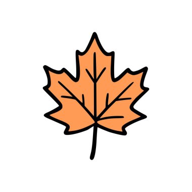 Çizgi film stili, turuncu sonbahar akçaağaç yaprağı çizimi koyu siyah çizgiler ve doğayı ve sonbahar konseptini temsil eden ayrıntılı damarlar.