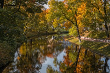 Riga şehir kanalının güzel sonbahar manzarası. Canlı sarı ve turuncu yapraklar sakin sulara mükemmel bir şekilde yansıyor..