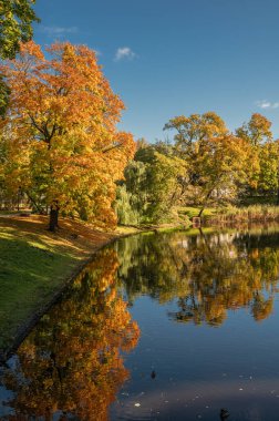 Riga şehir kanalının güzel sonbahar manzarası. Canlı sarı ve turuncu yapraklar sakin sulara mükemmel bir şekilde yansıyor..
