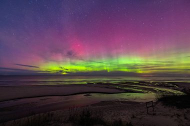 Parlak yeşil ve pembe aurora borealis Aralık ayında Letonya 'nın Baltık Denizi kıyısında yıldızlı gökyüzünde dans ediyor.