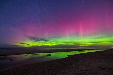Parlak yeşil ve pembe aurora borealis Aralık ayında Letonya 'nın Baltık Denizi kıyısında yıldızlı gökyüzünde dans ediyor.