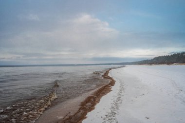 Huzurlu kış deniz manzarası, Letonya, Lilaste 'deki sakin Baltık Denizi suyu boyunca kahverengi yosun hattıyla karla kaplı kumlu plajları gösteriyor.