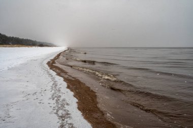 Atmosferik kış deniz manzarası kısmen donmuş Baltık Denizi kıyılarını kumlu sahillerde kar ve buz parçalarıyla gösteriyor..