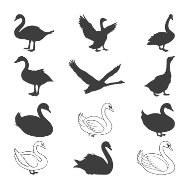 Kuğu Illustration Siluetleri, Kuğu Hattı sanat simgesi silueti, Beyaz arkaplanda izole edilmiş Vektör İllüzyonu