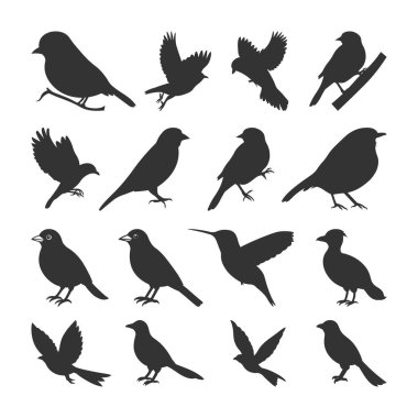 Bir takım Kara Kuş siluetleri. sVg tasarımı için vektör ögeleri, Kuş Uçan Siluetler Koleksiyonu, Beyaz arkaplan ile Vektör İllüzyonu.
