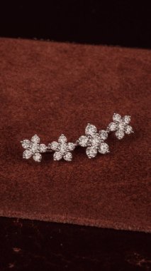 Kadınlar için Zarif Elmas ve Altın Mücevher