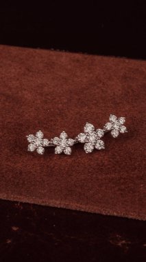 Kadınlar için Zarif Elmas ve Altın Mücevher