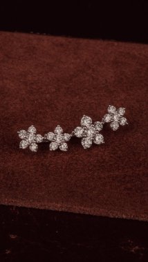 Kadınlar için Zarif Elmas ve Altın Mücevher